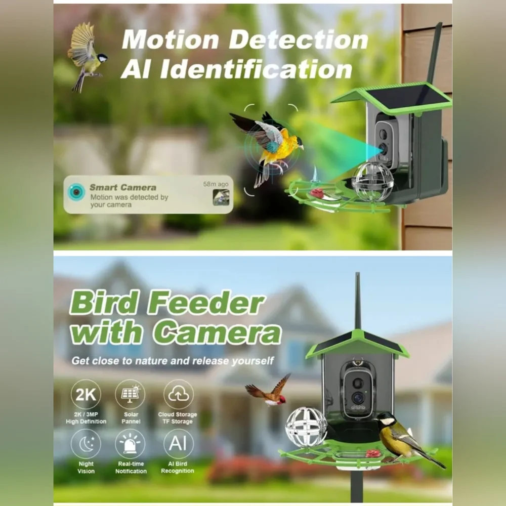 WiFi Smart Bird Feeder with Camera & Night Vision